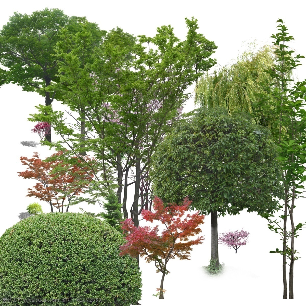 树 景观植物 景观 植物 分层树 绿化 绿化树 观赏树 观赏 绿化带 花 分层花 绿化花 观赏花 景观花 盆景 分层盆景 绿化盆景 观赏盆景 景观盆景 盆栽 分层盆栽 绿化盆栽 观赏盆栽 景观盆栽 小树 分层绿化树 分层景观树 分层景观花 分层绿化盆栽 分层景观盆景 分层绿化带 分层绿化