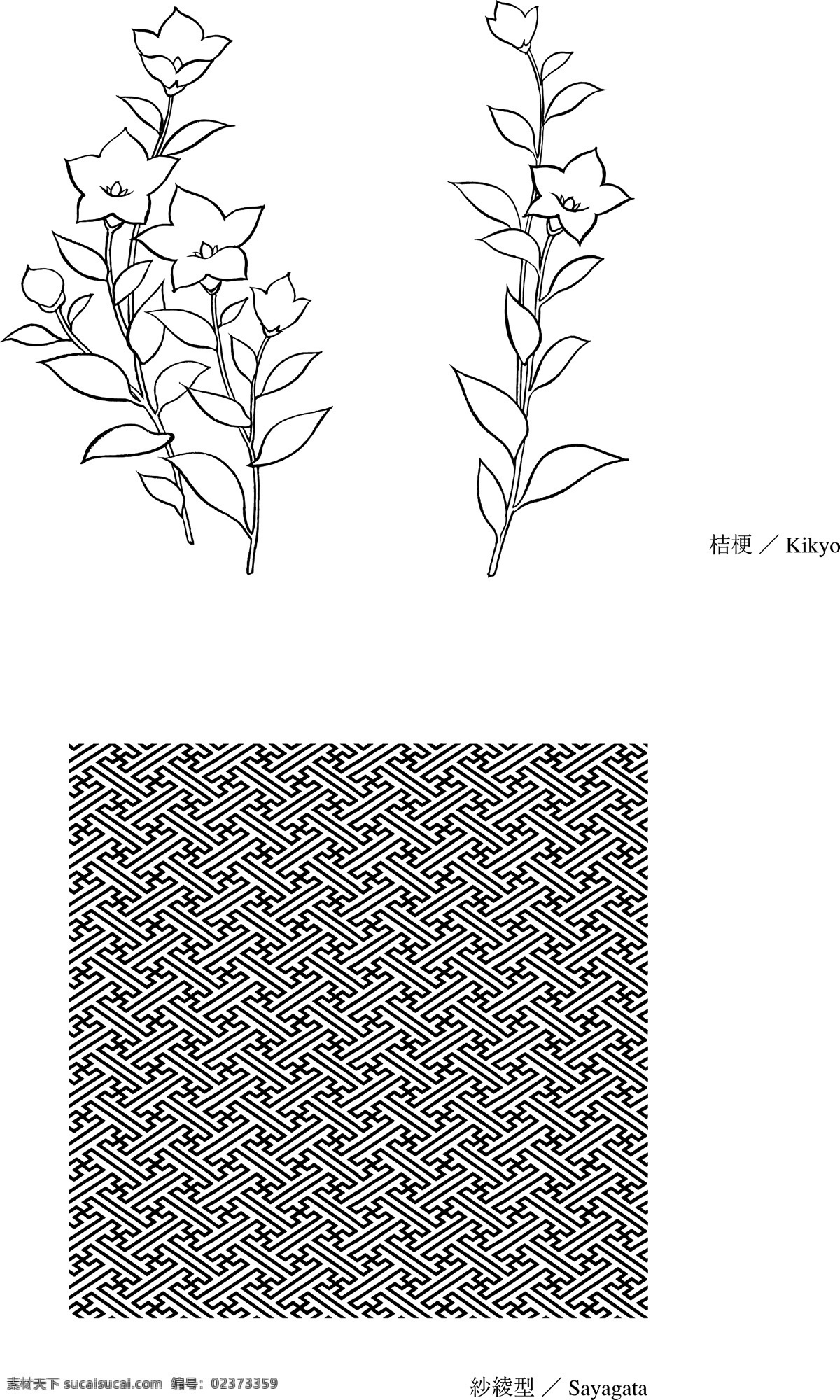 桔梗 草本 花 叶 白描 素描 线稿 和式 日式 橘梗 植物 布纹 纹理 背景 日本植物矢量 美术绘画 文化艺术 矢量