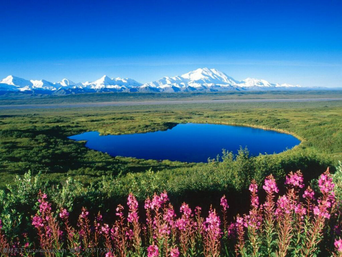月亮湖 蓝天 雪山 草原 红花 蓝色湖水 美景 大自然 风光 山水风景 自然景观