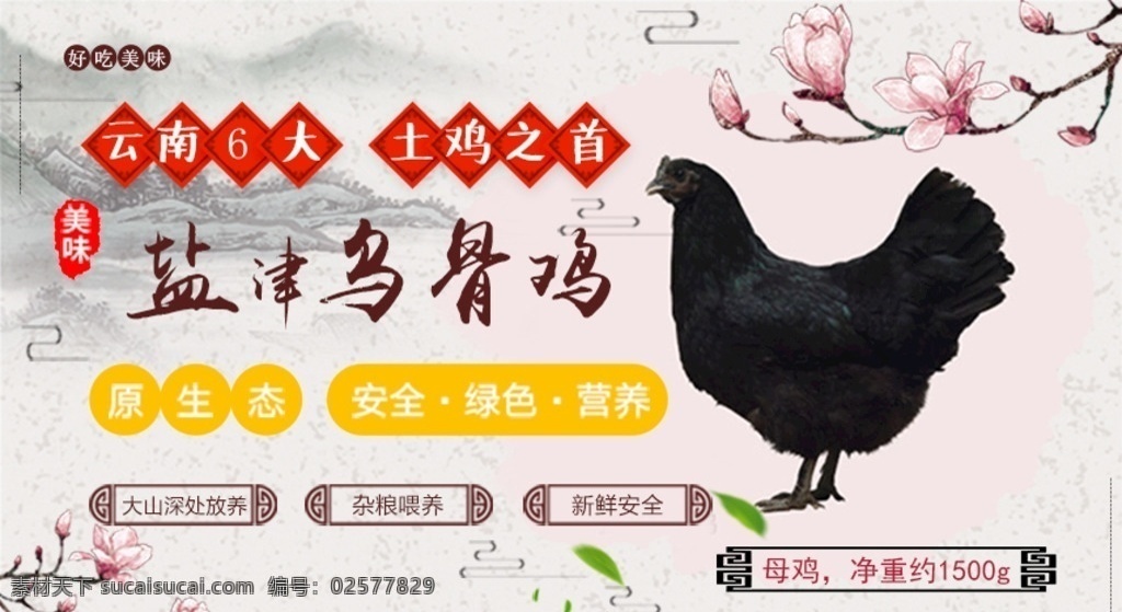 盐津 乌鸡 banner 图 盐津乌骨鸡 乌骨鸡 盐津乌鸡 鸡 个人作品 淘宝界面设计 淘宝 广告