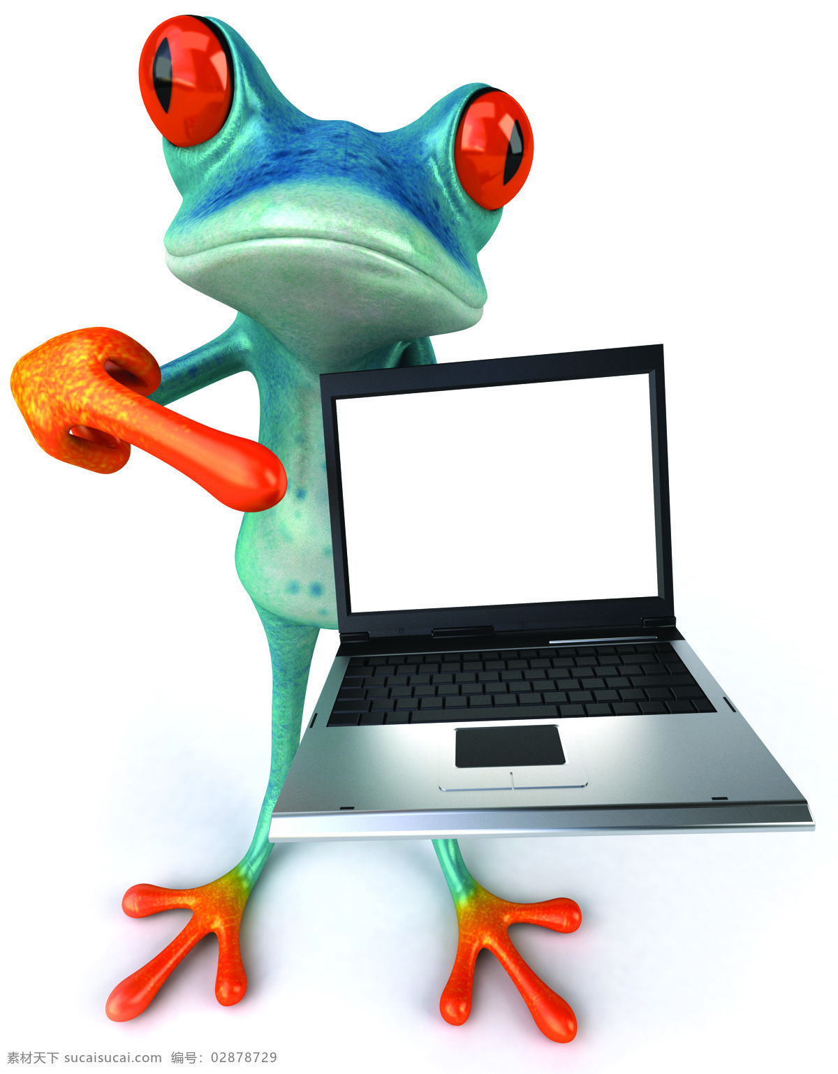 手 笔记本 电脑 青蛙 卡通青蛙 3d青蛙 3d卡通 卡通动物 陆地动物 生物世界