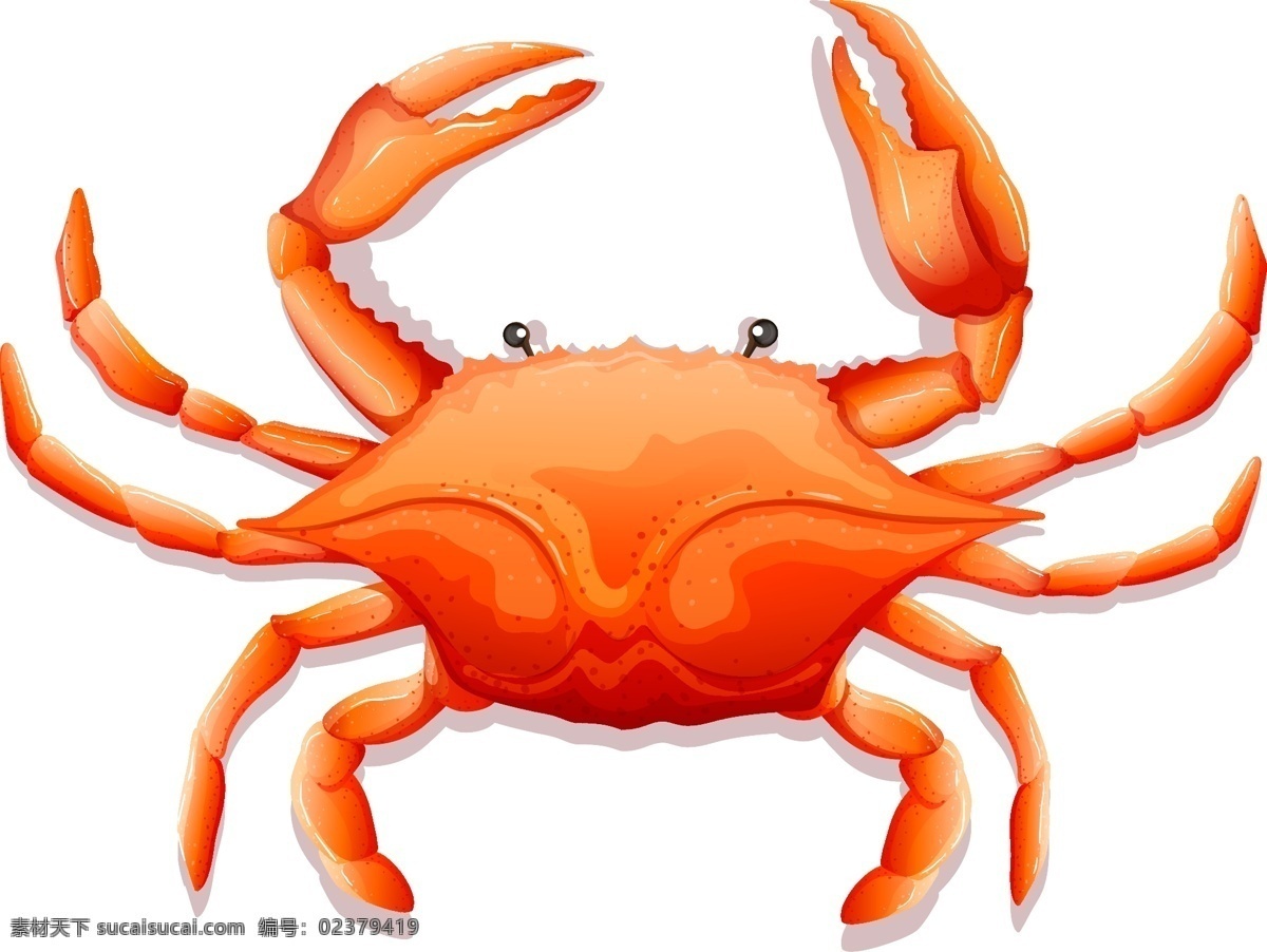 矢量素材 矢量 螃蟹矢量图 螃蟹图片 螃蟹图案 蟹 红螃蟹 海鲜 螃蟹矢量素材 螃蟹 螃蟹素材 手绘螃蟹 卡通螃蟹 海鲜素材