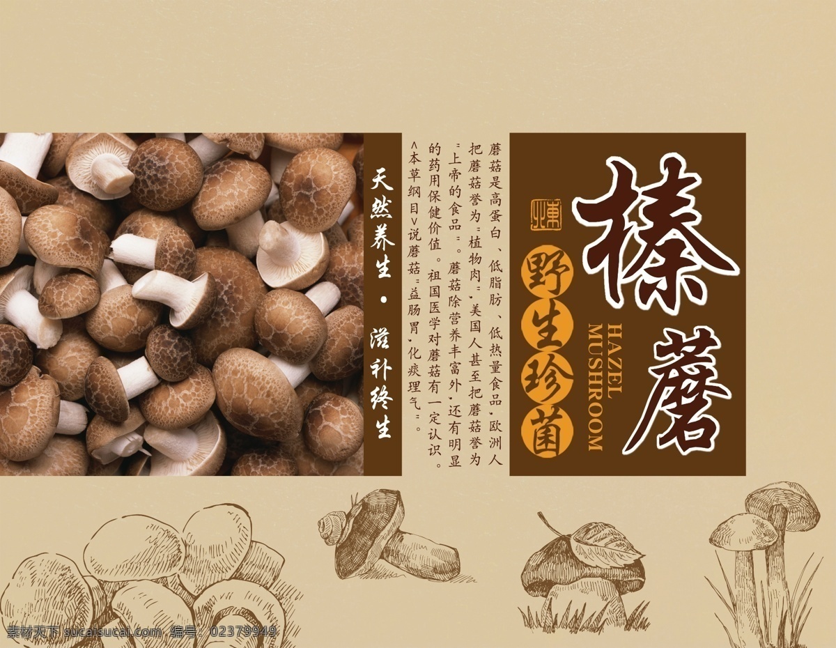 榛蘑食品包装 野生珍菌 野生榛蘑菇食 榛蘑菇包装品 手绘包装设计 礼盒包装设计 珍菌包装设计 蘑菇包装设计 榛蘑礼盒包装 包装设计 包装 包装盒 包装袋模板 包装盒设计 包装盒素材 包装袋 包装盒模板 海报素材 广告设计模板 psd素材 源文件