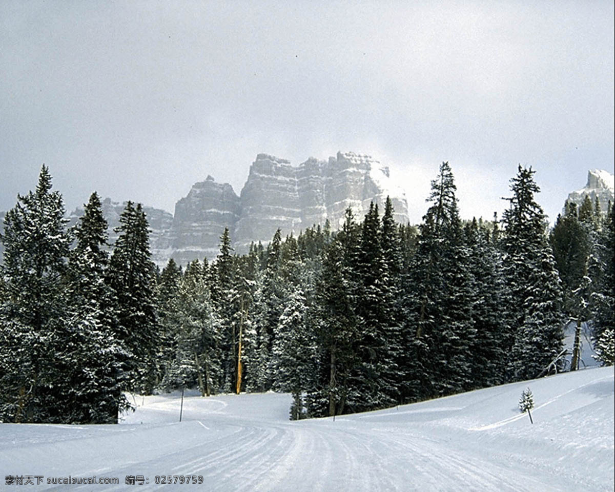 雪山 雪景 美图 山峰 山谷 山脊 雪域高原 林海雪原 美丽的雪景 山区 群山环抱 大山 山坡 高山 自然景观 山水风景