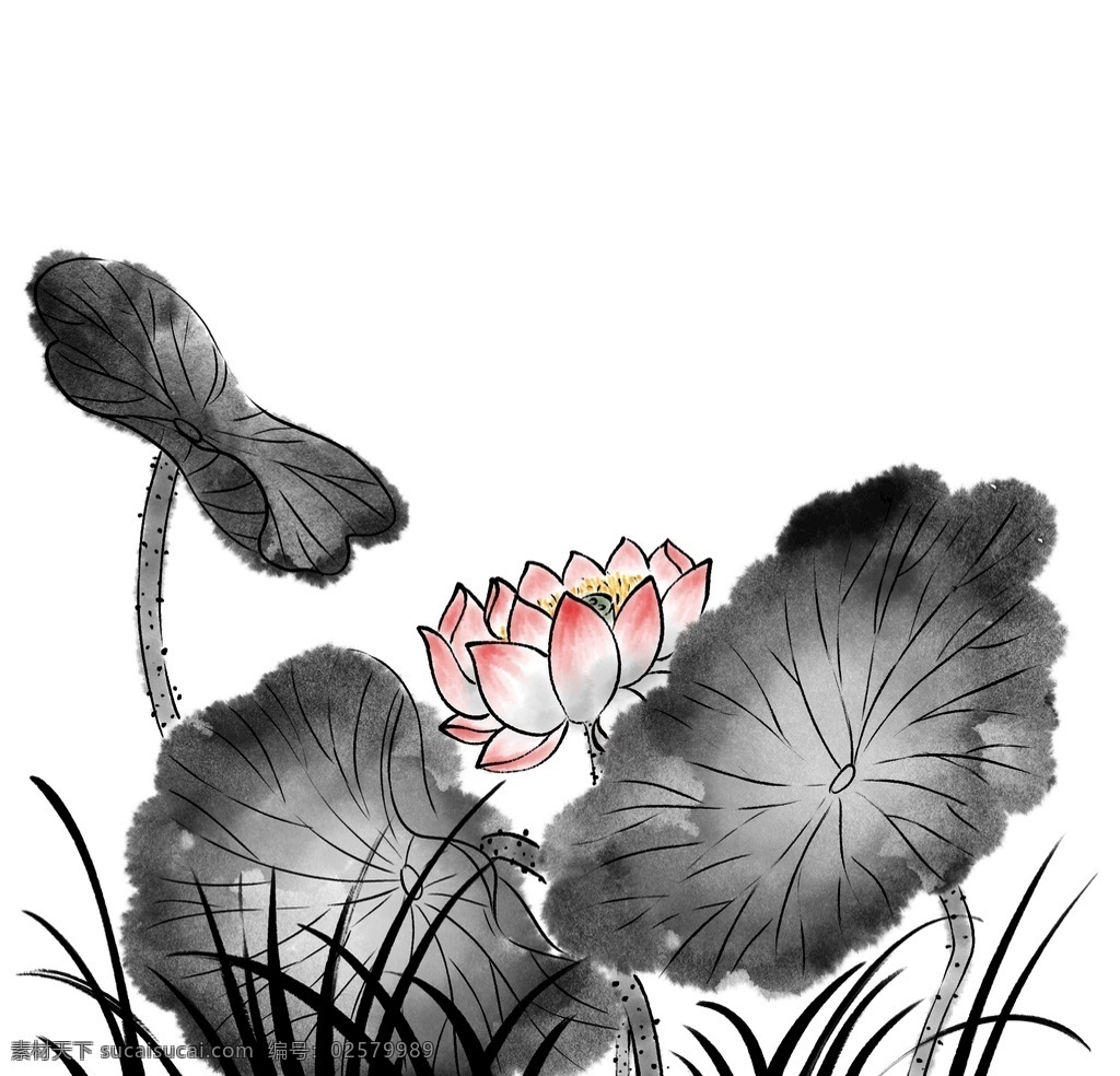 欧式花纹 花边 数码印花 面料图片 面料花 坯布印花 花 印花 热带叶 复古花 叶子花 玫瑰花子 棕叶花 荷花 水墨画 水彩荷花 国画 蝴蝶 彩色蝴蝶 手绘蝴蝶 水彩蝴蝶 素材花 分层 虎头 老虎 水墨竹子 水墨荷花