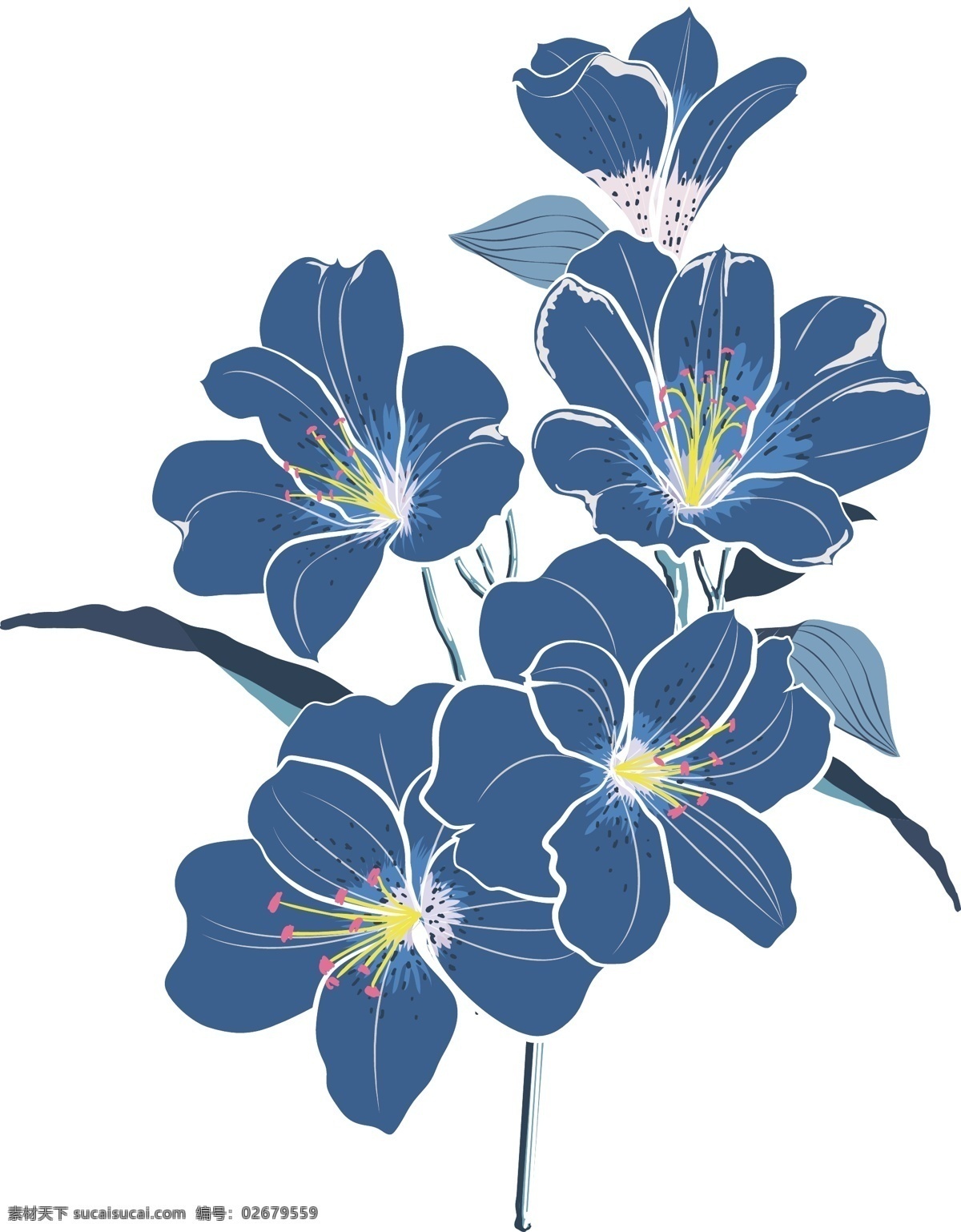 手绘 蓝色 花朵 植物 卡通花朵 蓝色花朵 花卉植物 生物世界 花草