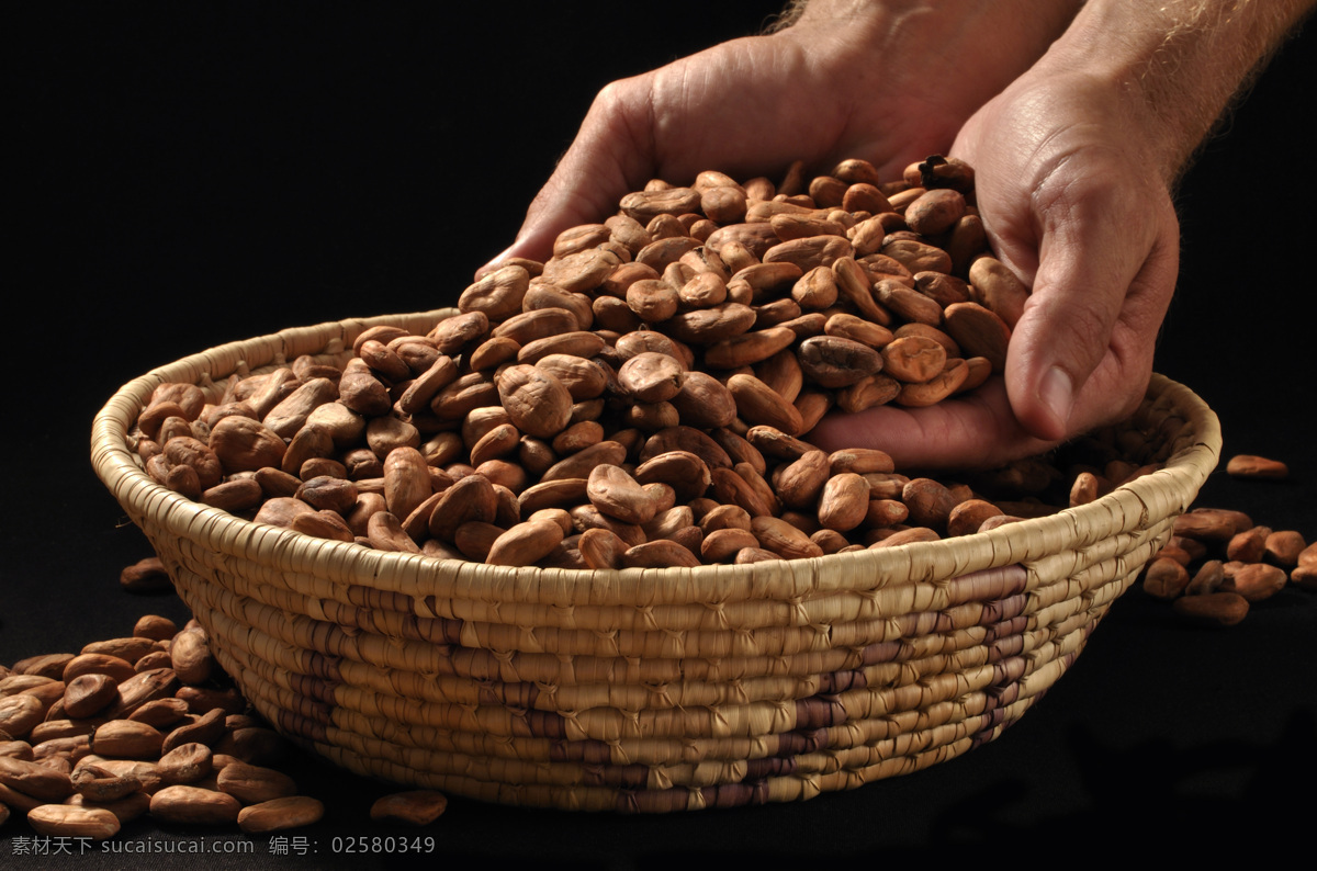可可豆 咖啡豆 巧克力 原料 食材原料 餐饮美食