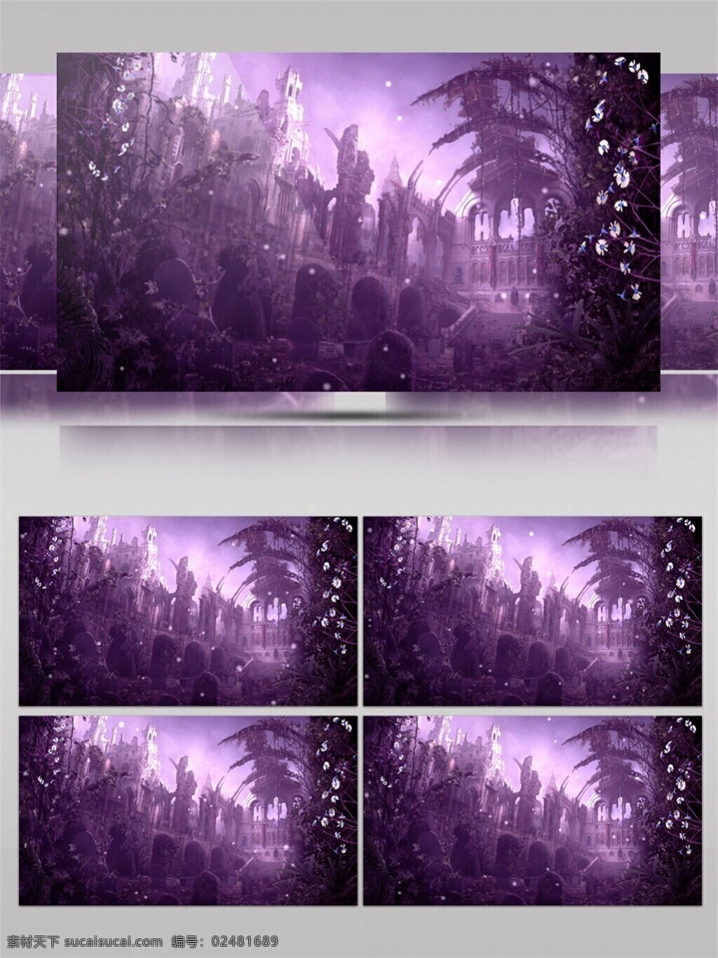 紫色 唯美 薰衣草 高清 视频 梦幻紫色 唯美浪漫 校园记忆 视频素材 动态视频素材