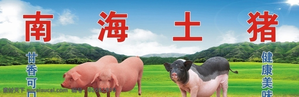南海土猪 土猪 南海 猪肉 鲜猪