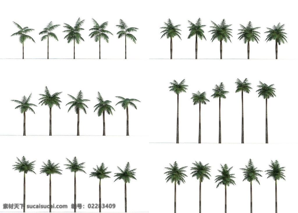 棕榈树 植物模型 热带树 景观植物 园林 模型 植物模型合辑 展示模型 3d设计模型 源文件 max