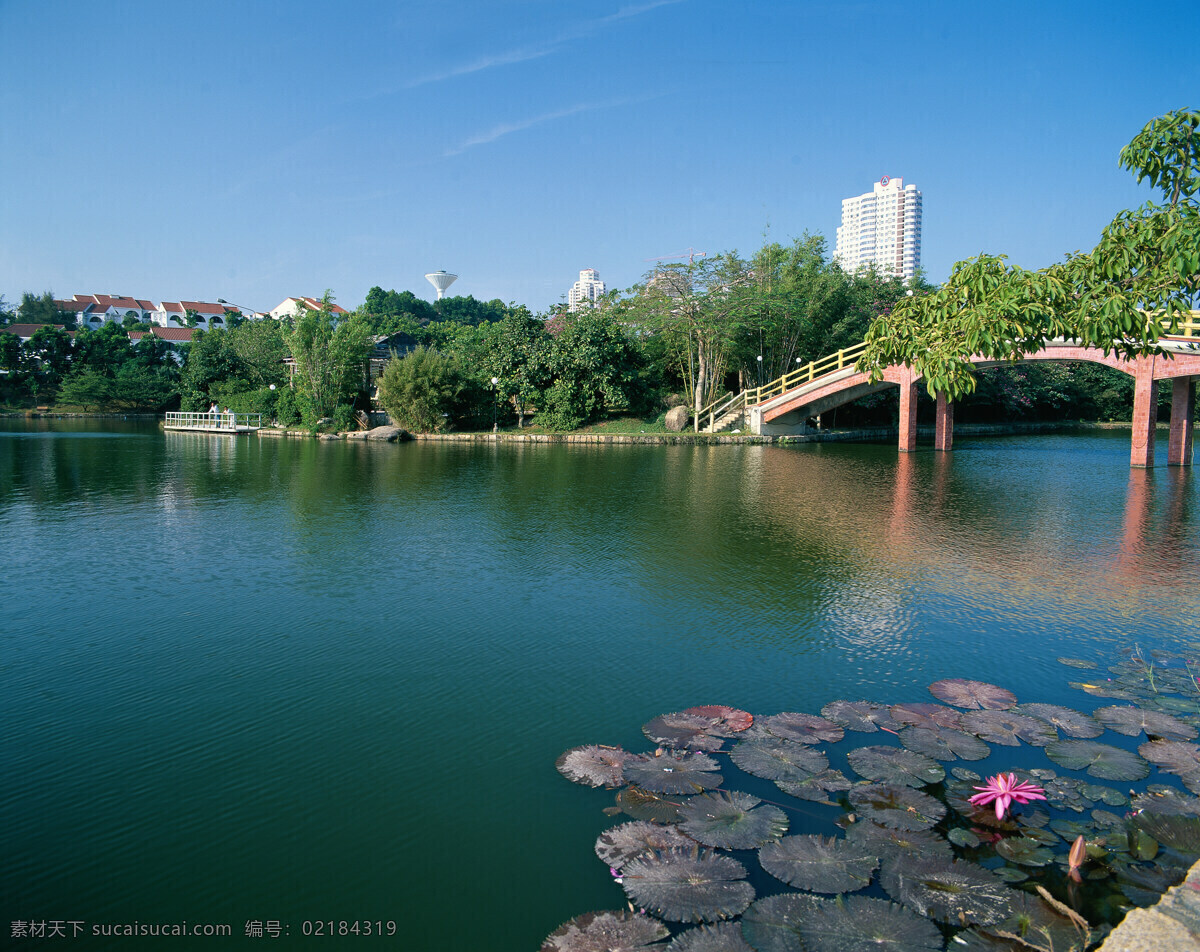 现代 城市 公园 现代城市 现代都市 城市风景 高楼大厦 繁华都市 繁荣城市 道路 马路 城市风光 城市公园 湖泊 湖水 环境家居