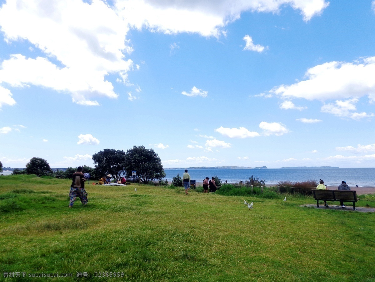 新西兰 海滨 风景 蓝天 白云 大海 海水 绿树 绿地 草地 休闲椅 游人 休闲 风光 旅游摄影 国外旅游