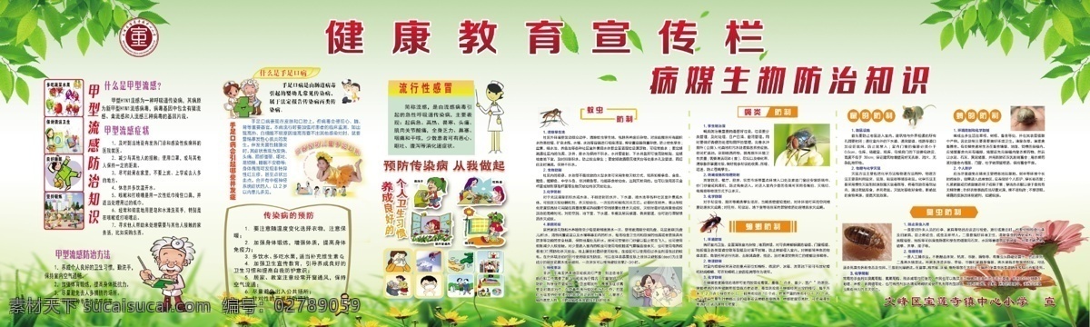 健康教育 宣传栏 预防流感 手足口 除四害 流行性感冒 病媒生物 病媒生物防治 展板模板