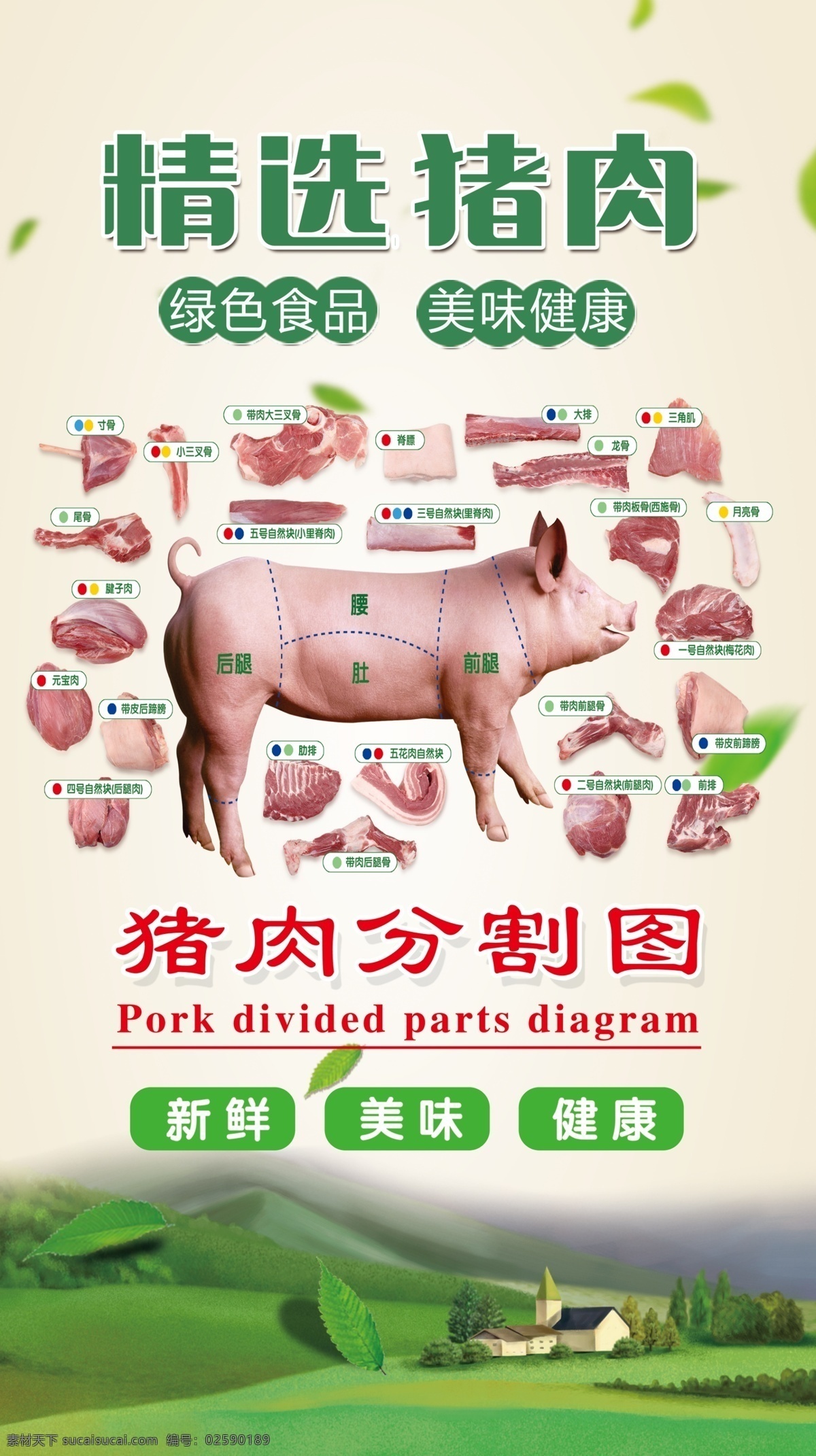 猪肉 分割 图 海报 猪肉分割图 精选猪肉 新鲜猪肉 美味 健康 绿色食品 美味健康 猪肉分割