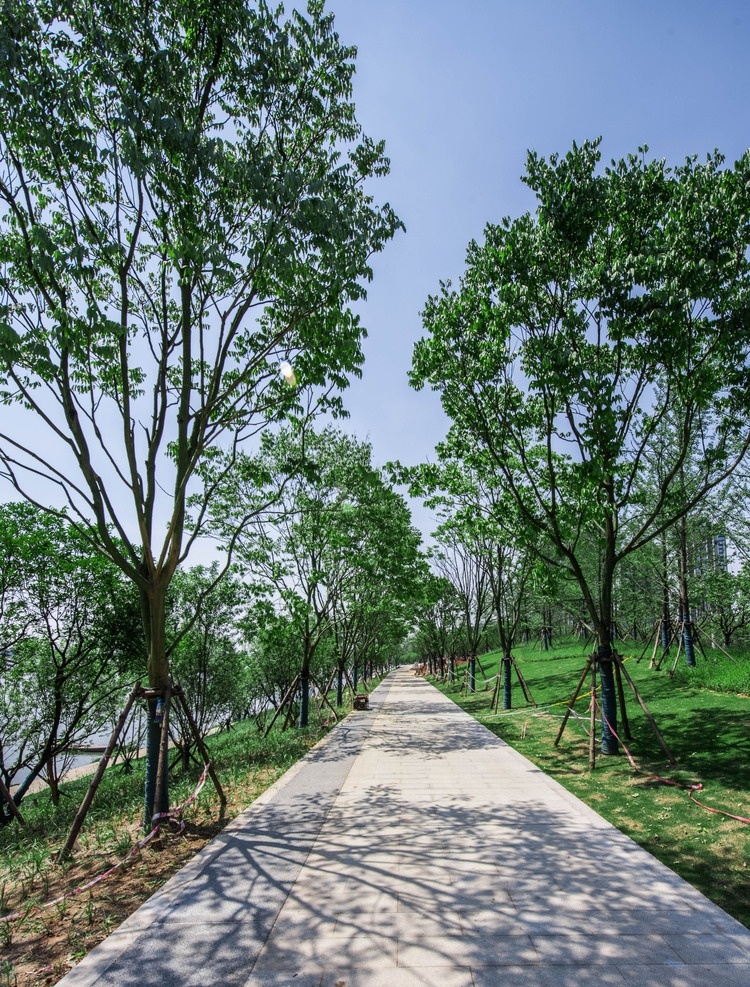 市政公园 景观设计 意向图 景观坐凳 住宅景观 园林景观 景观建筑 景观台阶 商业景观 铺装设计 园林设计 现代景观 景观元素 庭院景观 景观灯具 居住区景观 宜居景观 生态景观 景观廊架 景观入口 景观石材 景观大草坪 景观灯柱 艺术景观 乡村景观 滨水景观 景观看台 景观栈道 旅游景观 景观桥 景墙 景观意向图 建筑园林 园林建筑