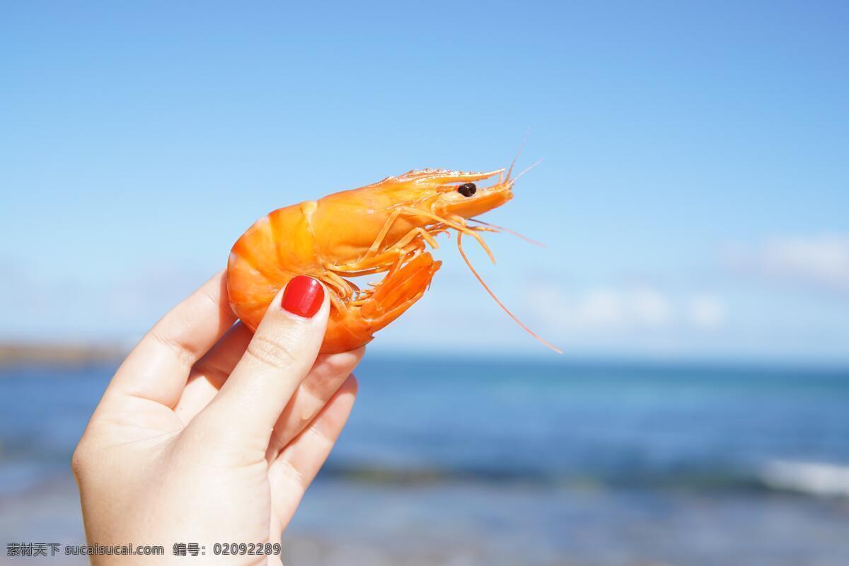 大头虾 煮虾 虾肉 炸虾 盐焗虾 中餐 炒虾 虾仁 炒菜 美食 蒸虾 灼虾 南极红虾 青虾 河虾 基围虾 对虾 龙虾 虾子 大虾 龙头虾 虾魁 海虾 海鲜 虾壁纸 虾背景 软体动物 海洋生物 做菜 餐饮美食 传统美食