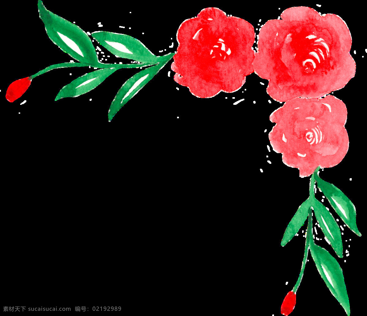 艳丽 花卉 透明 装饰 抠图专用 设计素材