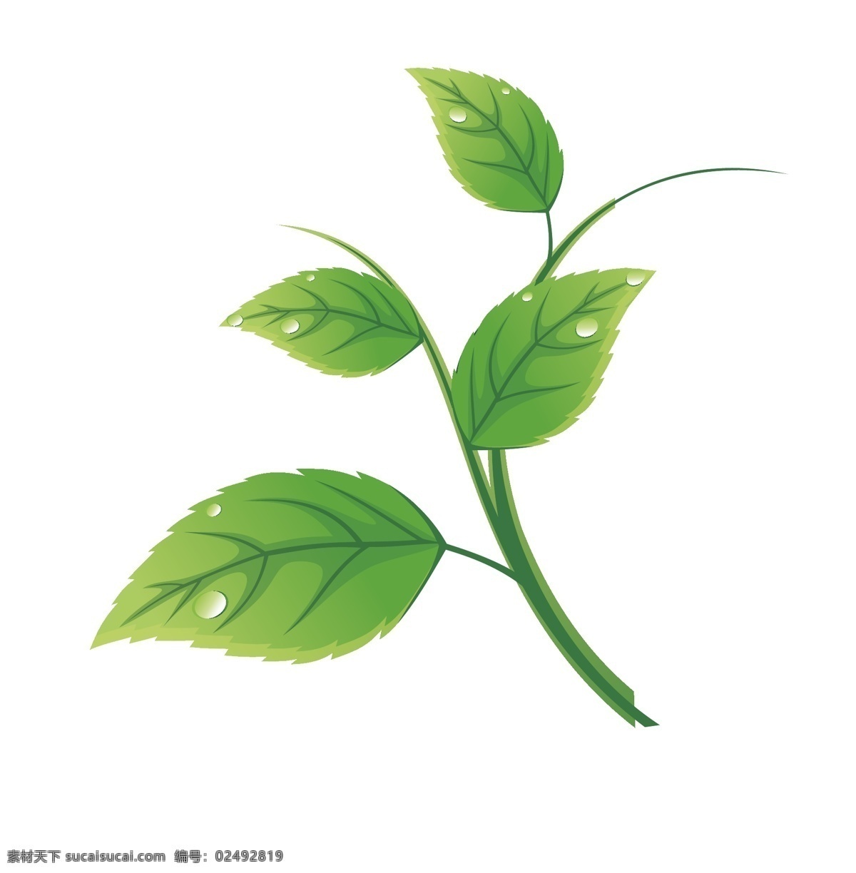 绿茶 绿叶矢量文件 绿叶 树叶 叶子 矢量 可编辑 生物世界 树木树叶