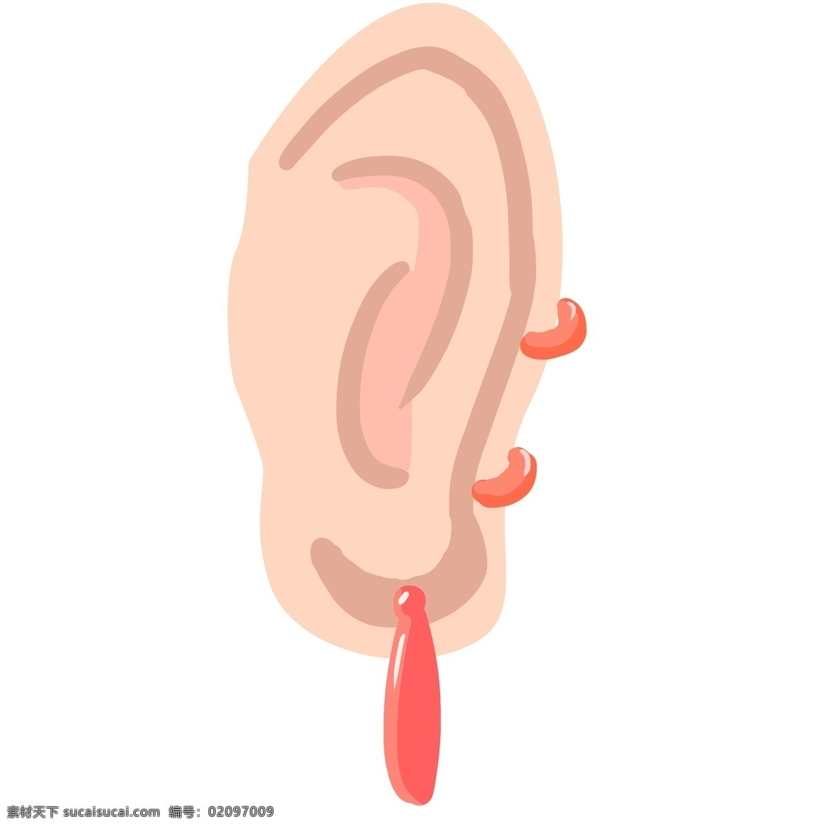人体 器官 耳朵 插画 人体的耳朵 卡通插画 人体器官 器官插画 身体器官 脏器器官 大大的耳朵