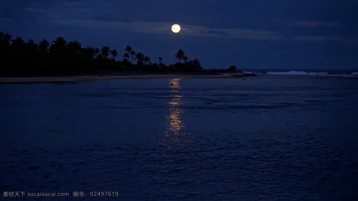 海边月光 大海 海边 岸边 沙滩 海滩 树林 树木 天空 月亮 月光 夜色 月色迷蒙 摄影图片 自然景观 自然风景