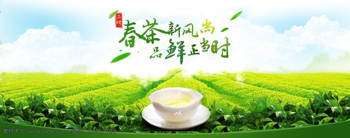 茶图片 茶 茶海报 春茶 新茶 茶背景 分层