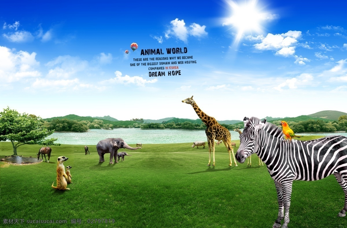 动物世界 分层 动物 草原 阳光 动物园 野生公园