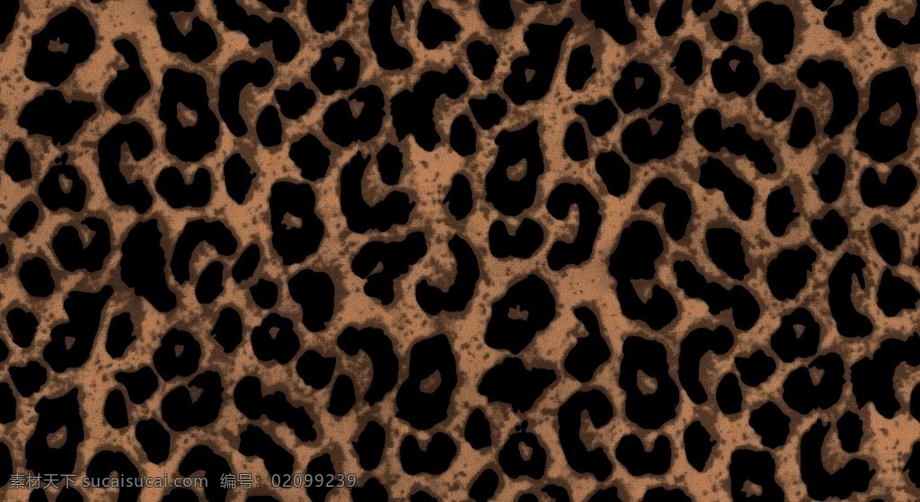 豹纹图片 豹纹 数码 背景豹纹 黑豹纹 杂点豹纹 分层 背景素材
