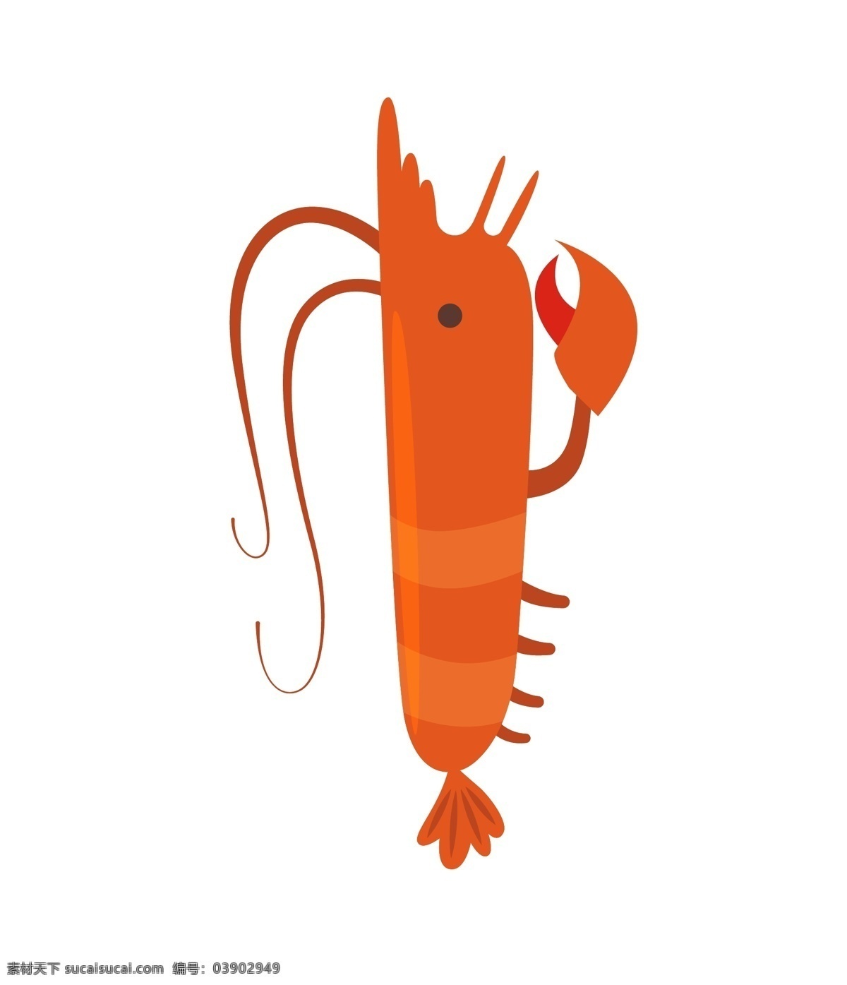 细长 小 龙虾 插画 细长的龙虾 卡通插画 龙虾插画 动物插画 深海龙虾 淡水龙虾 弯曲的触须