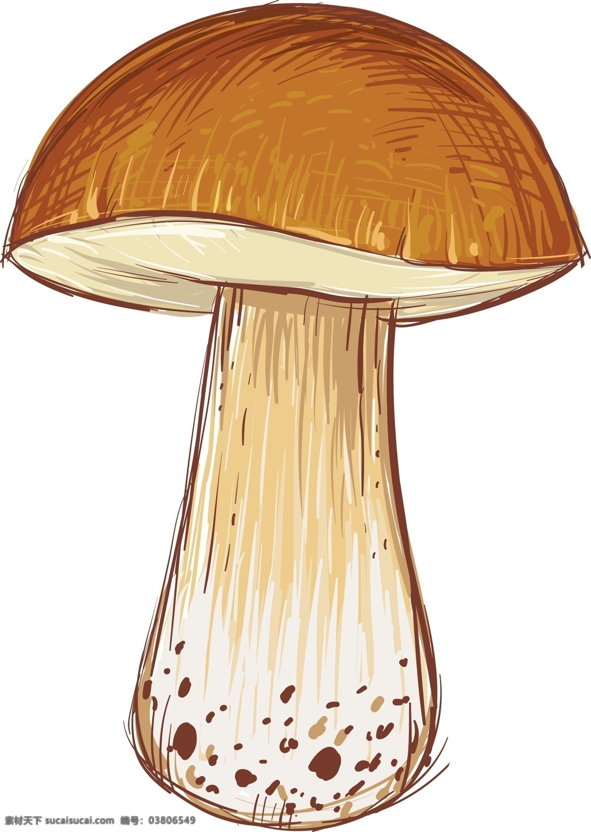 卡通 蘑菇 插画 矢量 模板下载 手绘 蘑菇插画 蘑菇设计 矢量蘑菇 卡通蘑菇 餐饮美食 生活百科 矢量素材 白色