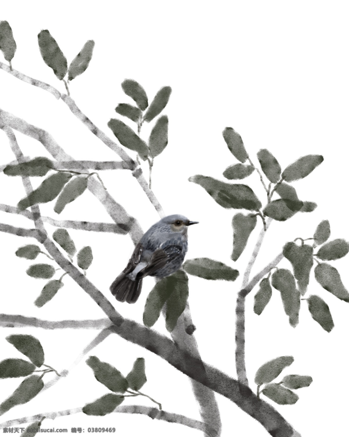水墨 鸟 树枝 插画 水墨鸟 水墨树 手绘树叶 植物 动物 灰色的树枝 水墨叶子 树上的小鸟 麻雀 工笔画插画
