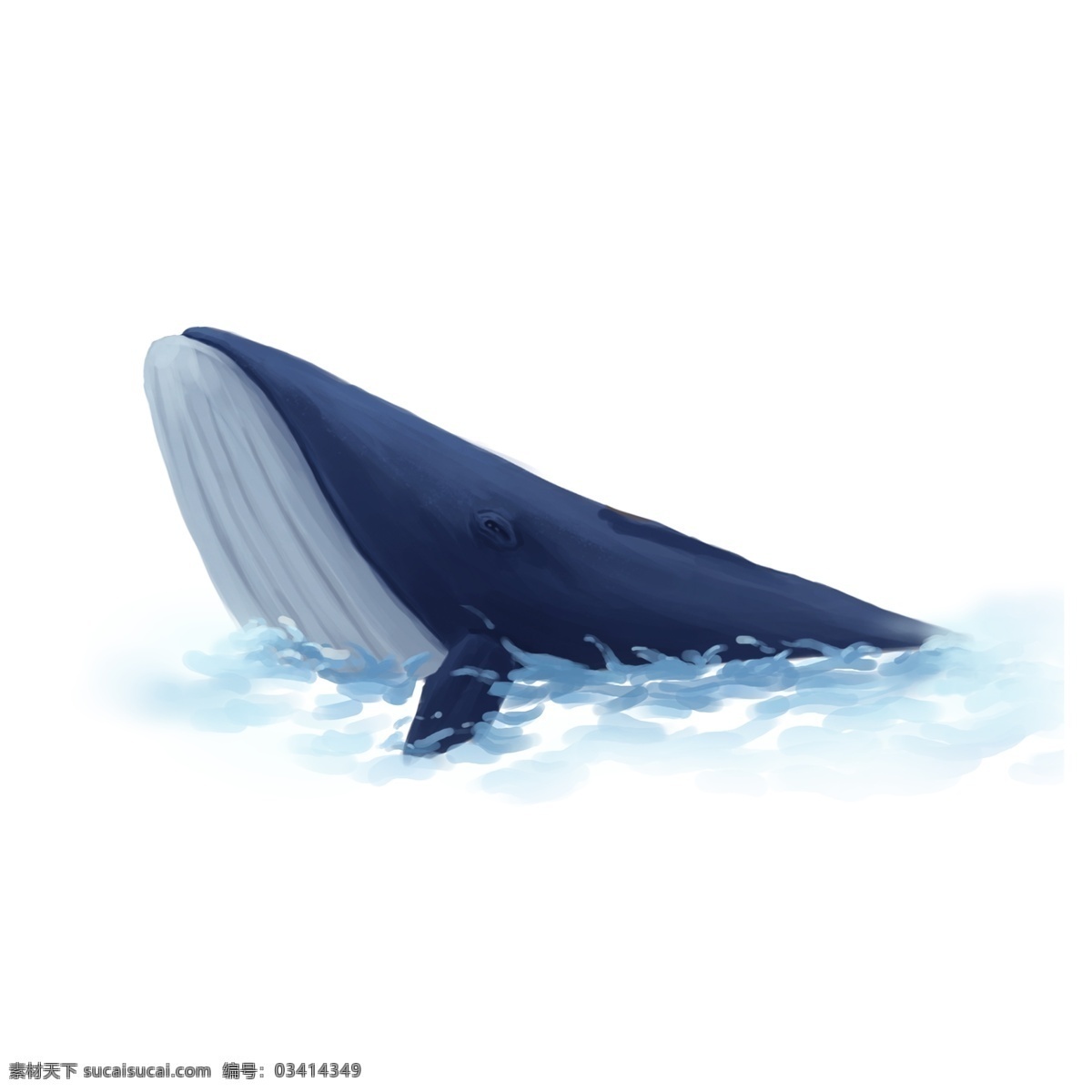 手绘 海洋 里 鲸鱼 元素 元素设计 装饰图案 彩色元素 卡通元素 可爱元素