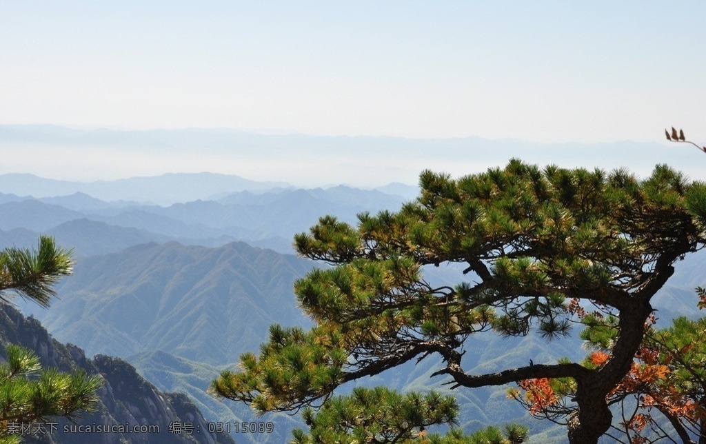 黄山 迎客松 名山 五岳 山 风景 大山 高山 山水风景 安徽黄山 国内旅游 旅游摄影