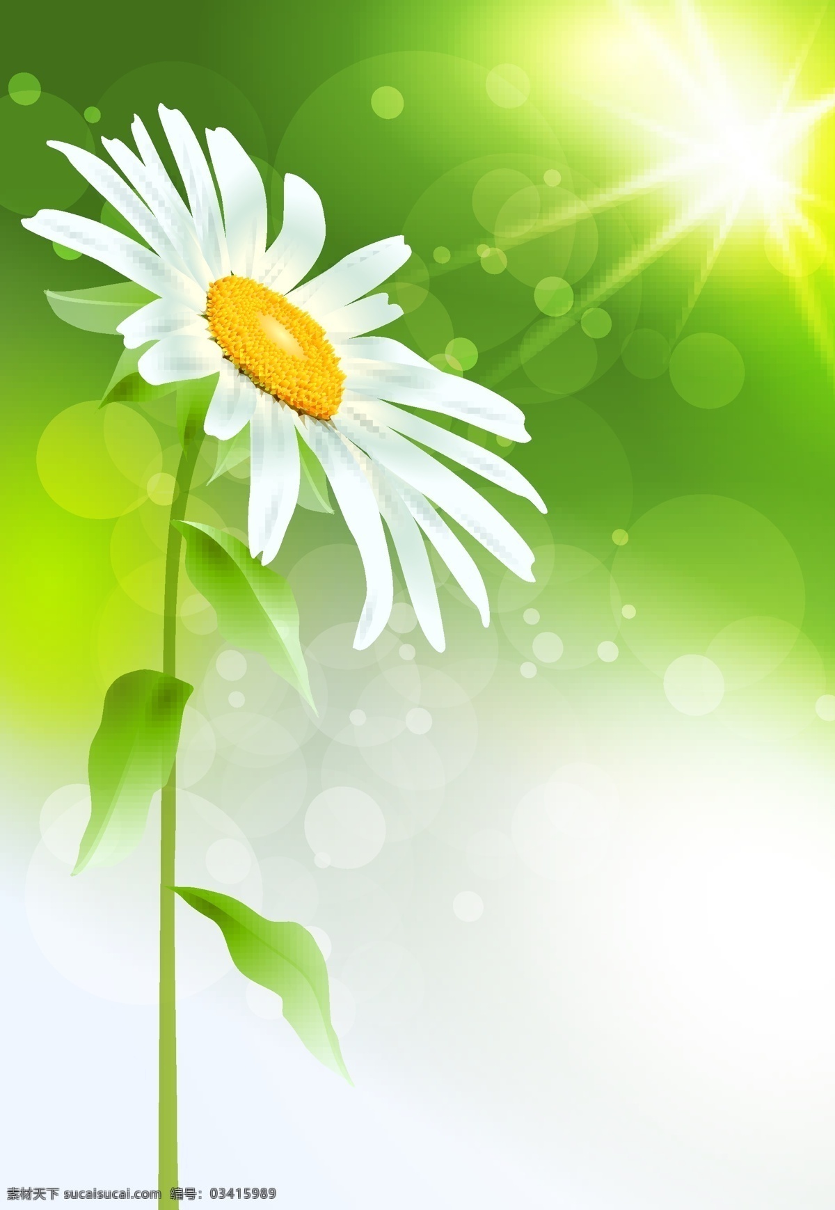 精美 花束 花瓣 矢量素材 鲜花 矢量图 日常生活