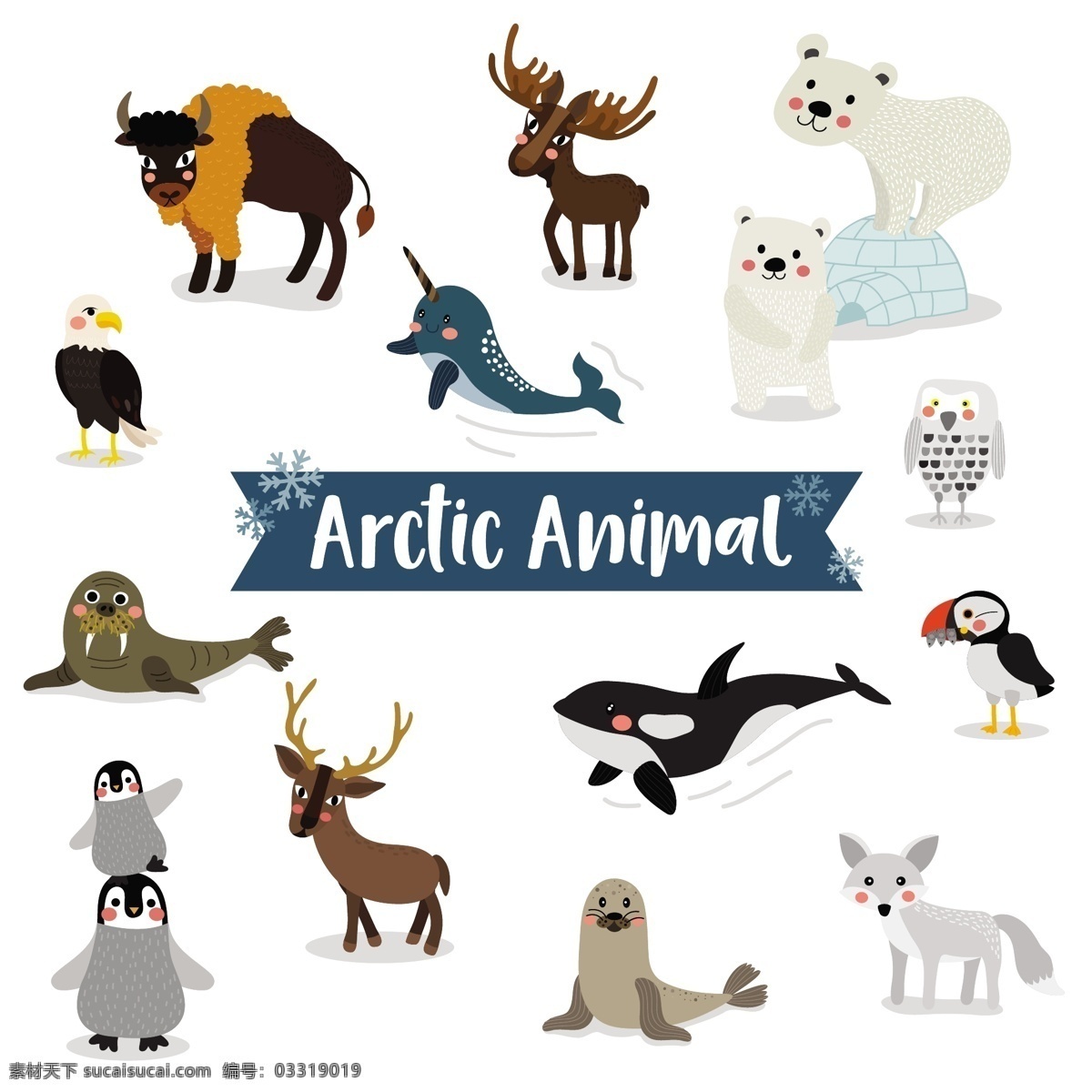 清新 动物 手绘 儿童 插画 小鹿 企鹅 海豚 动物元素 儿童插画