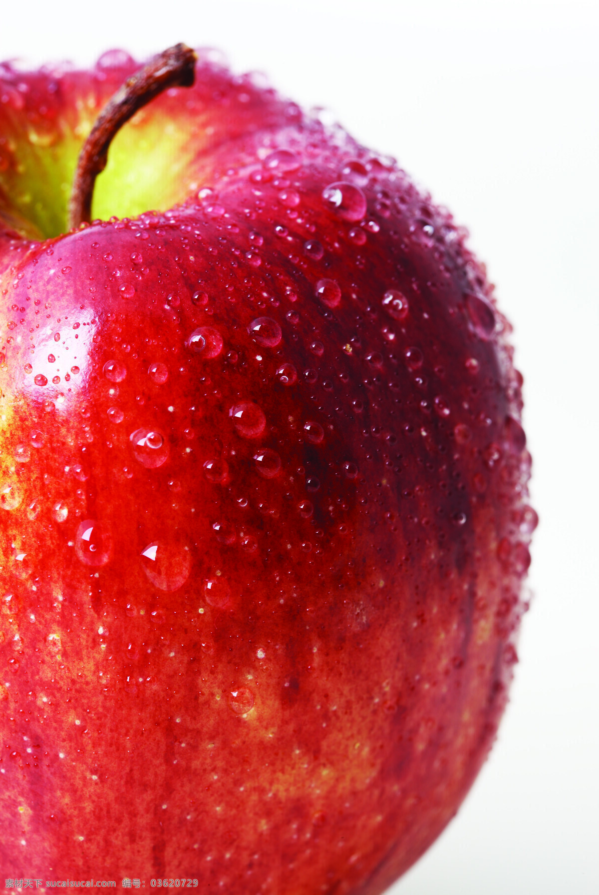 苹果 苹果特写 半个苹果 红苹果 甜苹果 苹果果肉 苹果汁 进口苹果 新鲜苹果 水果 新鲜水果 水果蔬菜 超市水果 苹果批发 水果批发 绿色生活 健康生活 健康饮食 生物世界