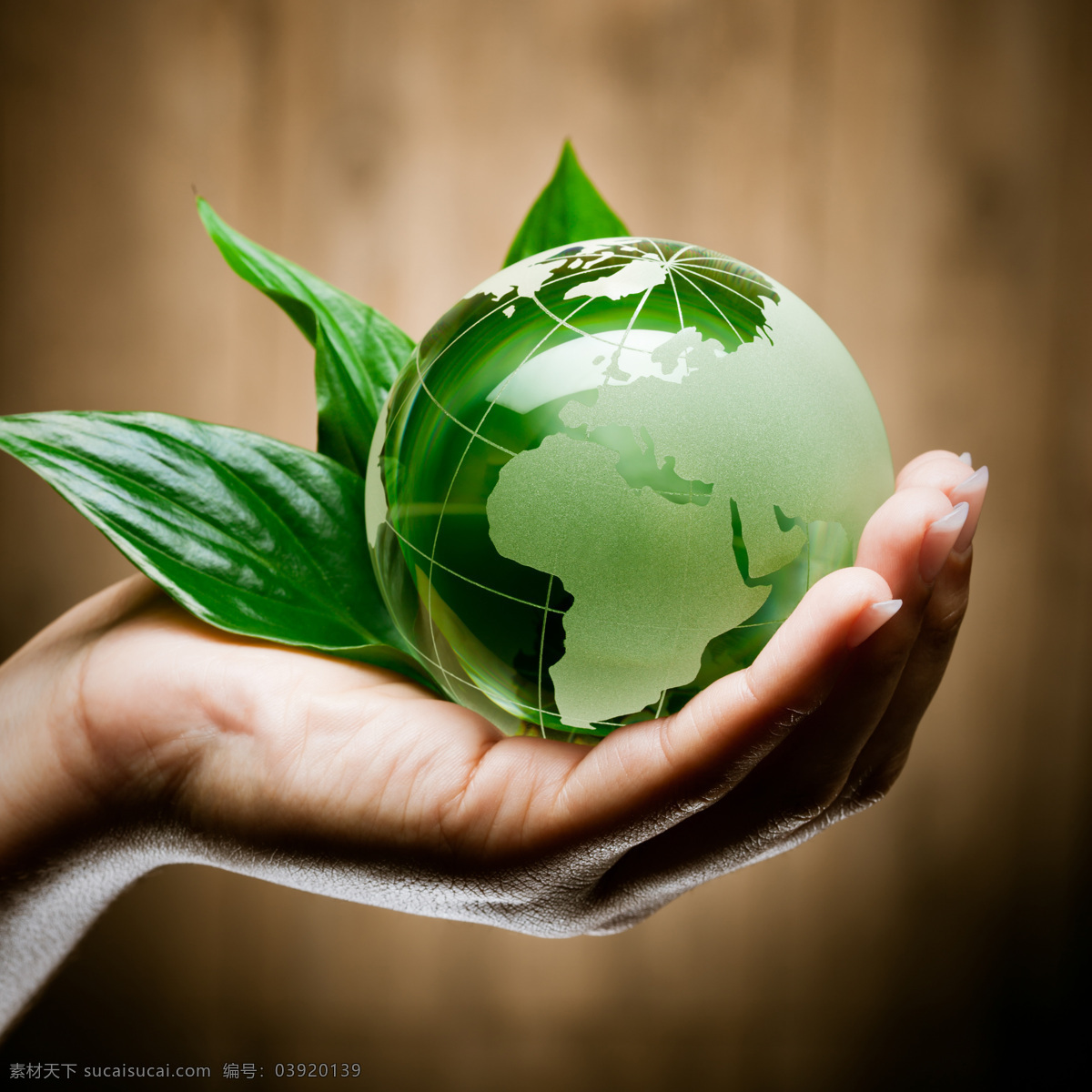 手捧地球 呵护 节能 绿色生态 环保 平面设计 地球仪