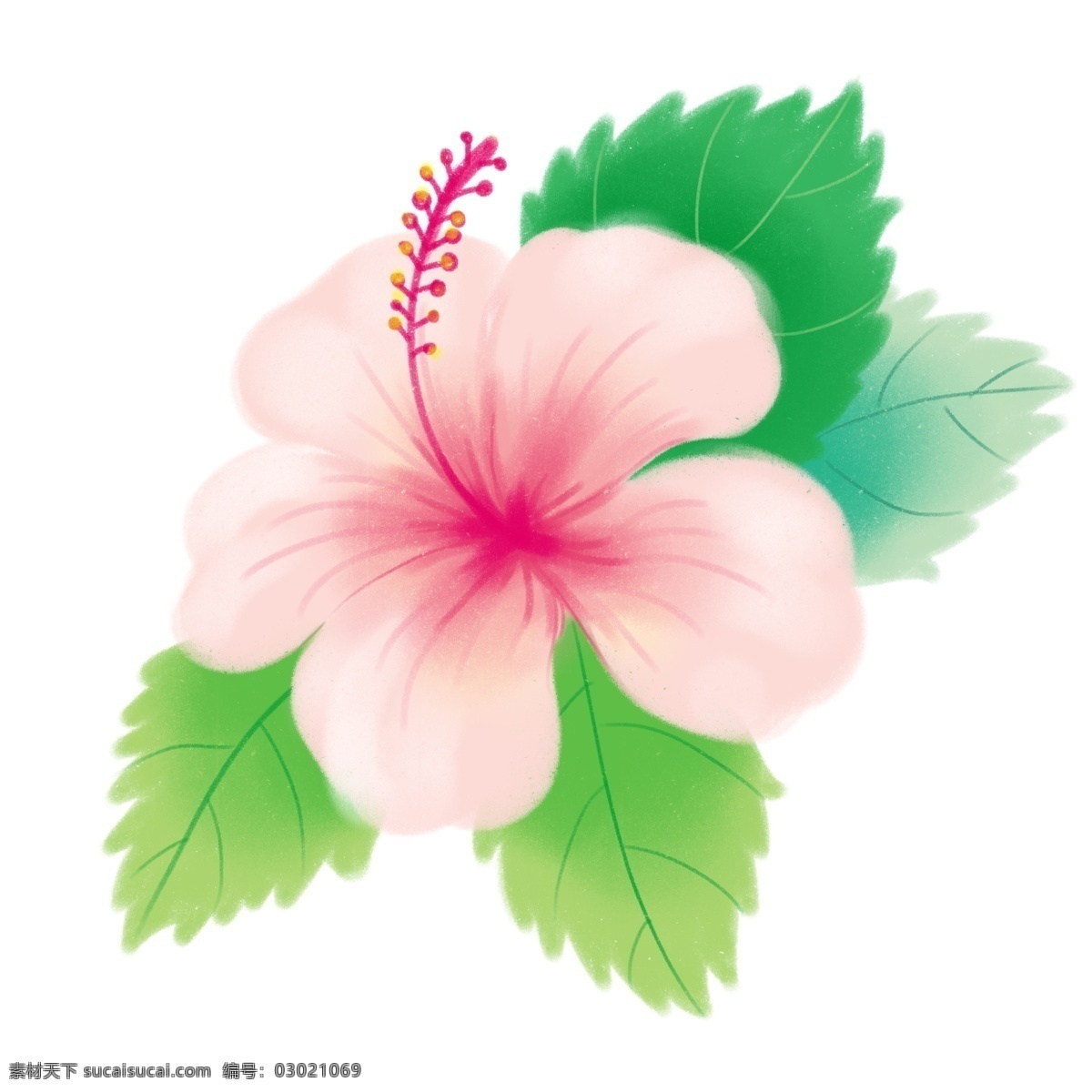 夏天 花朵 桃花 卡通 粉色 写实 免抠
