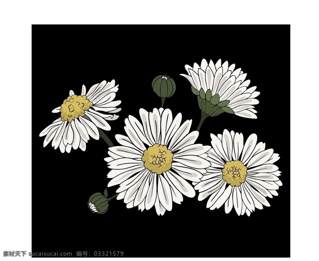 菊花矢量图 菊花 设计素材