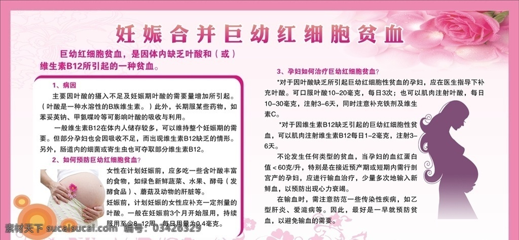 妊娠 合并 巨 幼 红细胞 贫血 叶酸 巨幼红细胞
