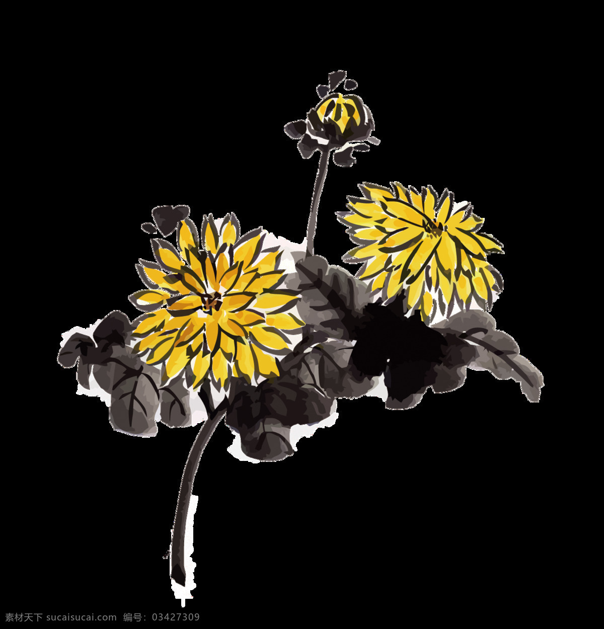 水墨画 雅致 手绘 菊花 装饰 元素 清新风格 水墨花 装饰元素
