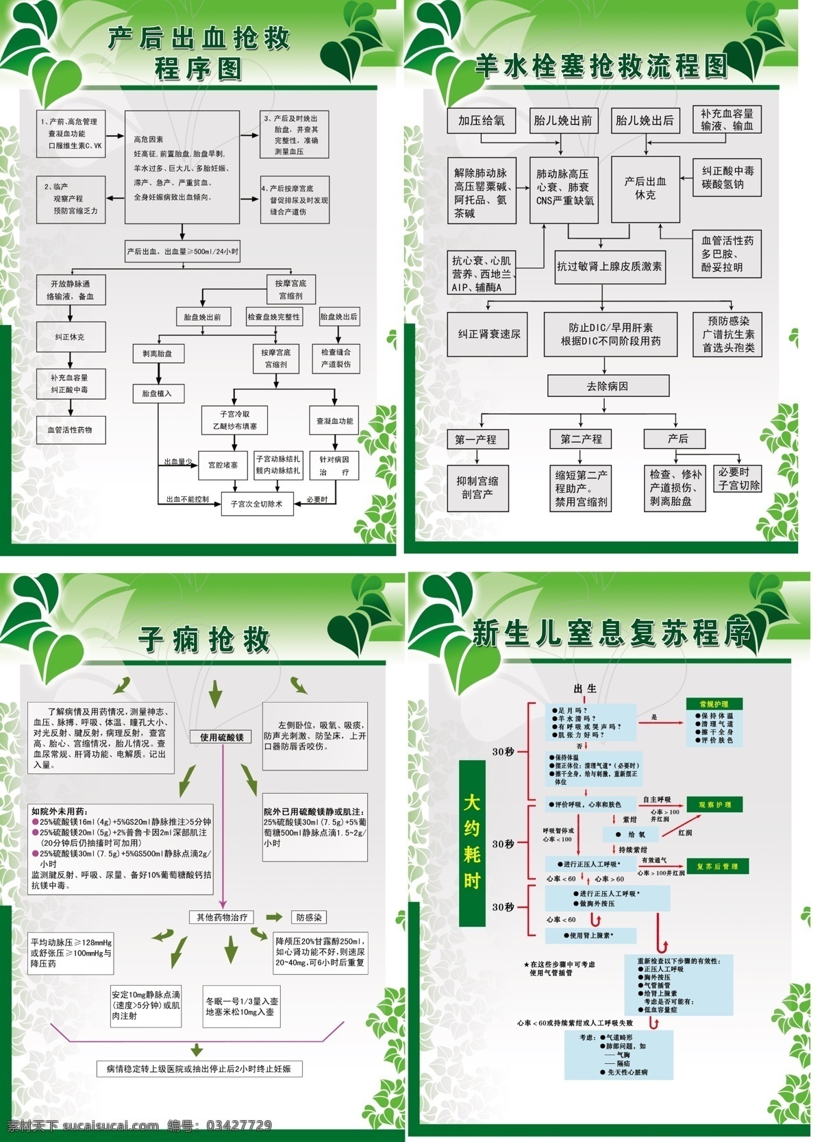 医院流程图 产后出血抢救 羊水 栓塞 抢救 流程 新生儿 窒息 复苏 程序 子痫抢救 展板 绿色背景 绿叶 流程图 医院展板 ps 分层 源文件