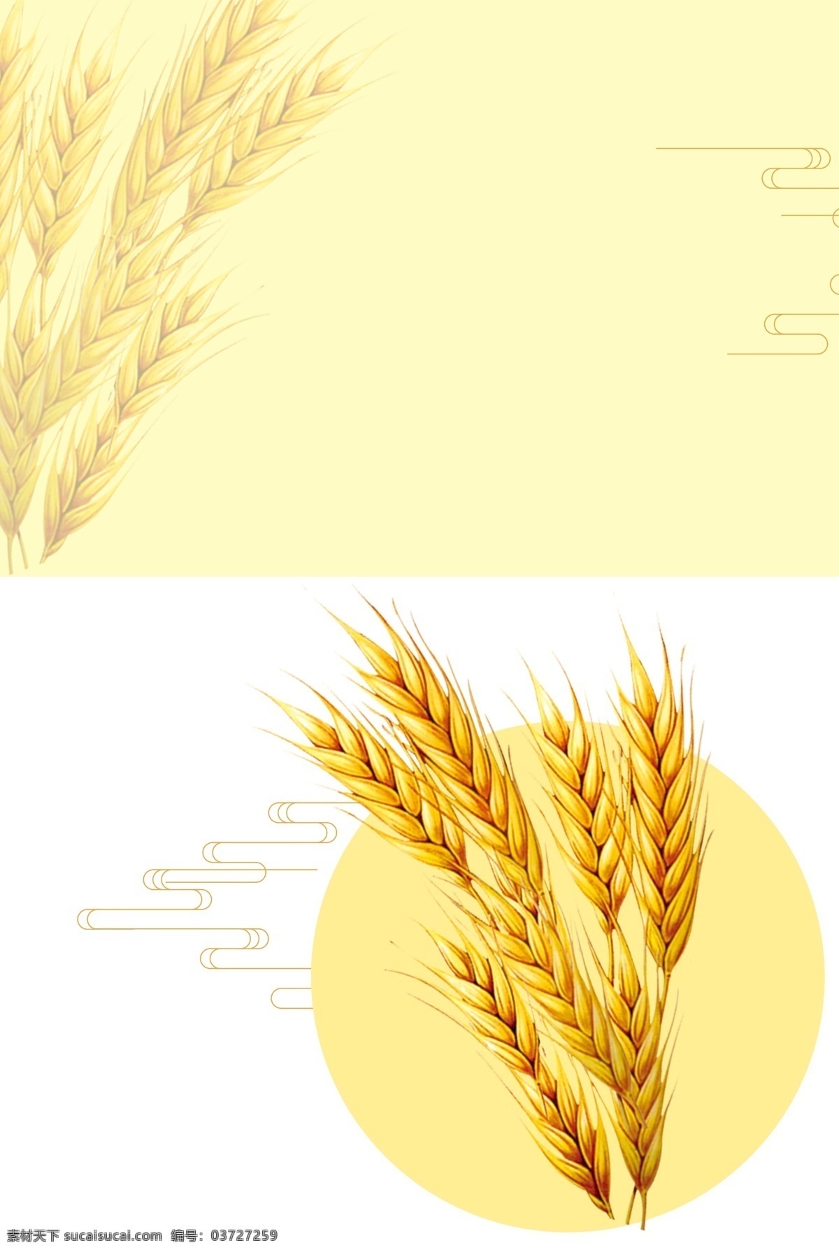 芒种简约背景 简约 手绘 芒种 温馨 文艺 小麦 黄色 祥云线条