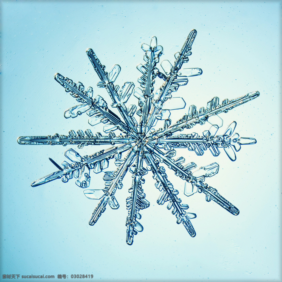 晶莹剔透 冰晶 雪花 蓝色背景 其他生物 生物世界