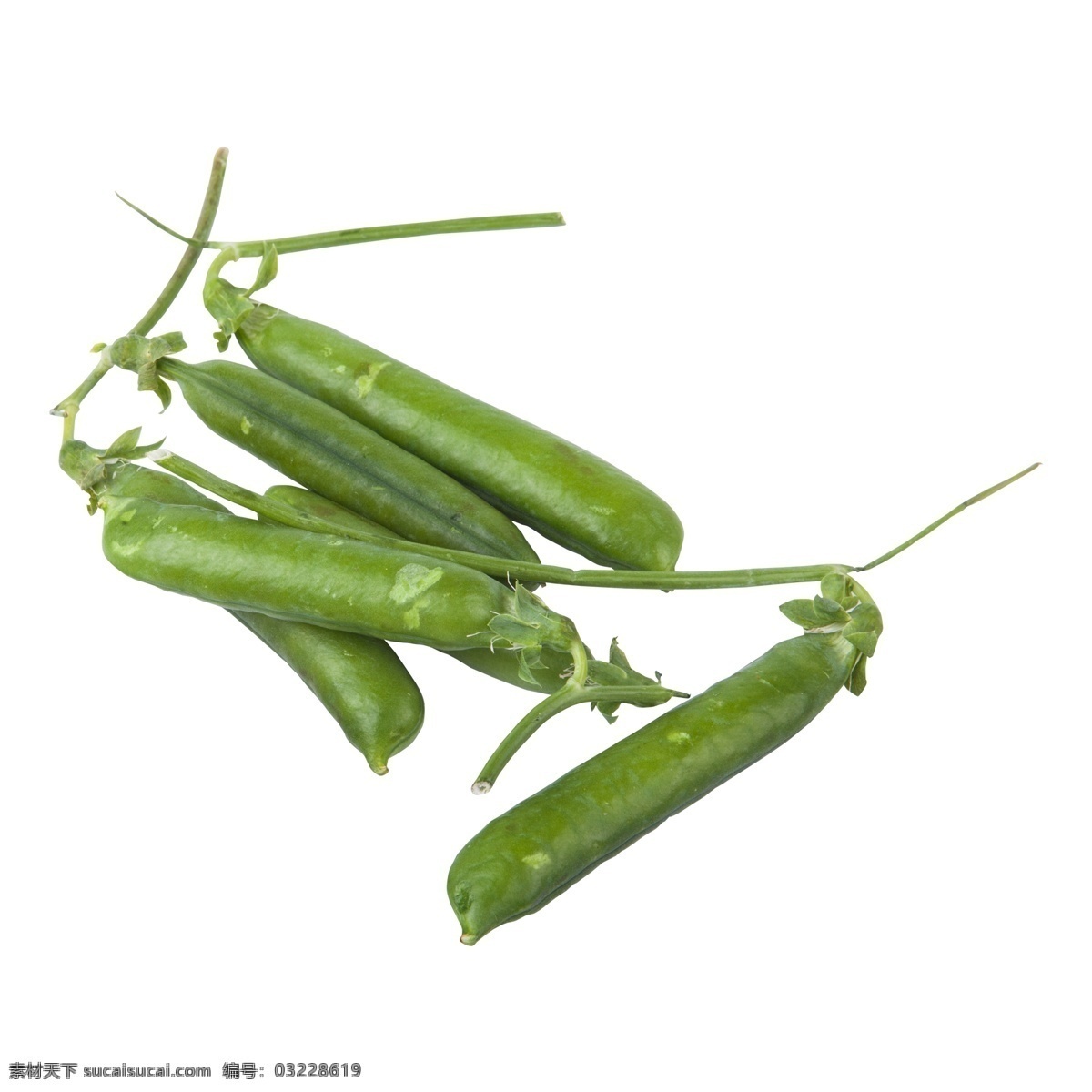 绿色植物 果实 元素 绿色 植物 豆子 美食 食物 蔬菜 吃的 青豆 味道 光泽 叶子 纹理 生长 质感