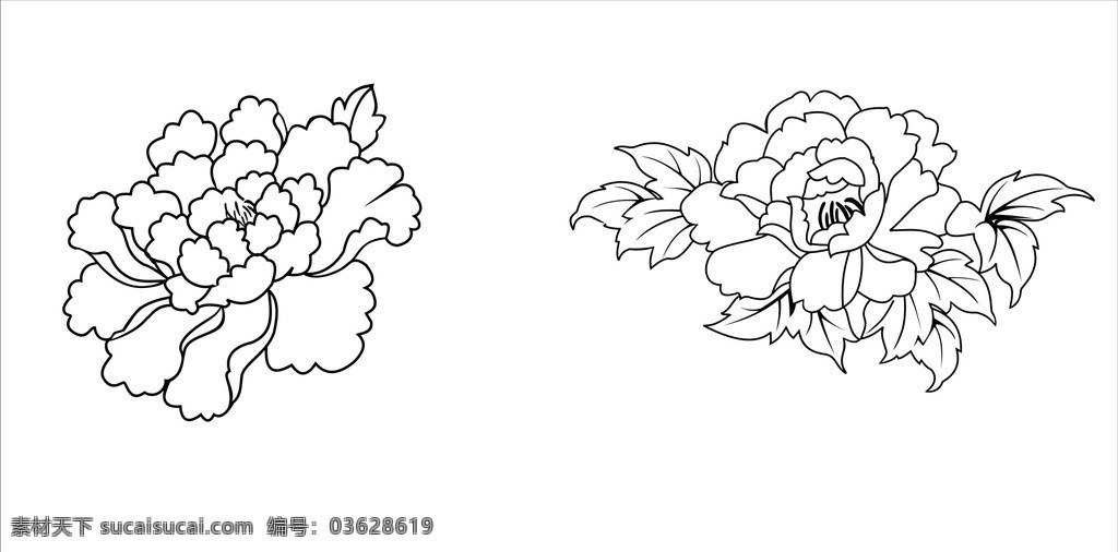牡丹图 牡丹 矢量 花 线稿 设计素材 自然景观