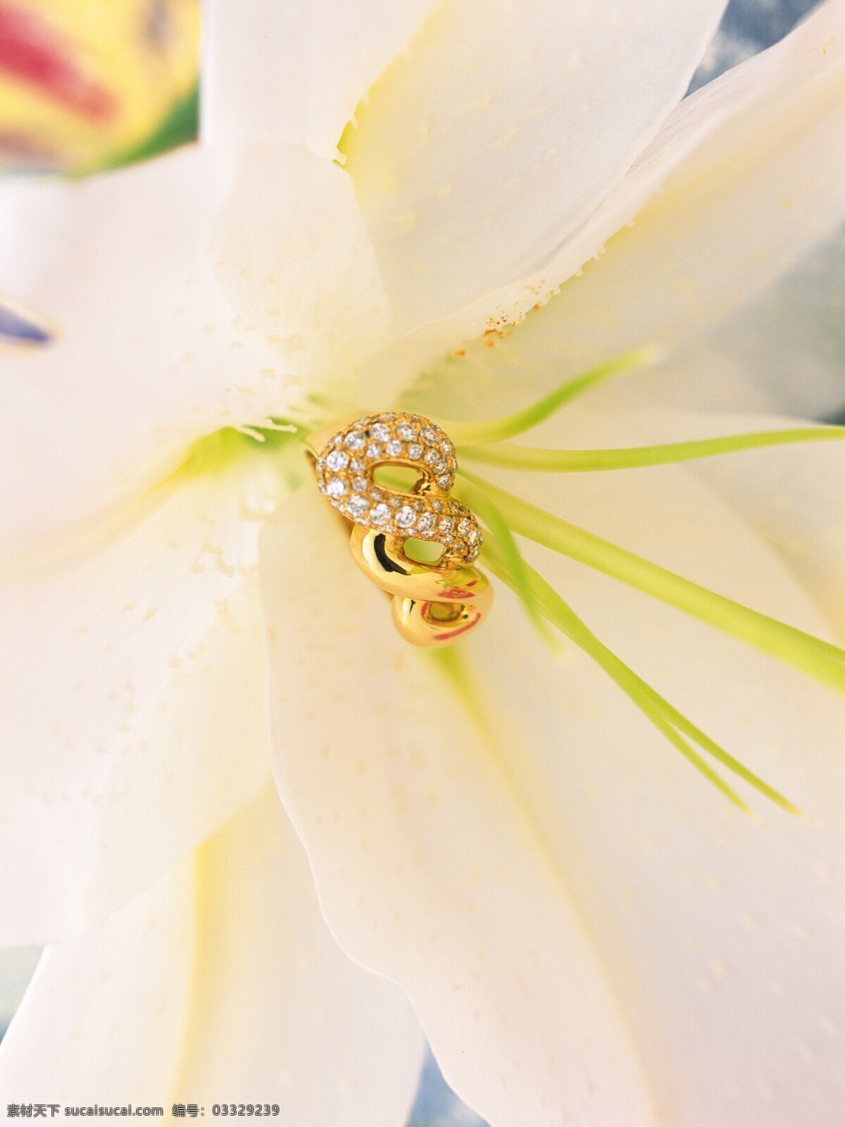鲜花 里 黄金 饰品 珠宝首饰 奢侈 高贵 黄金首饰 钻石 戒指 钻戒 珠宝服饰 生活百科