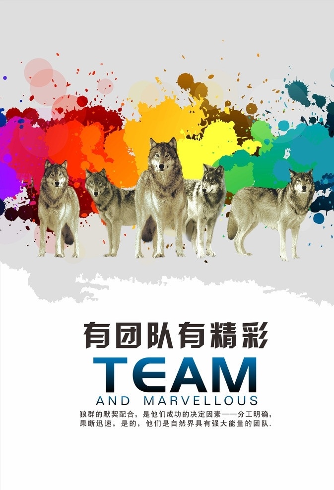 狼的团队 企业文化 狼 狼群 泼墨 炫彩 中国风 文化 板式 团队 精彩 色彩 矢量