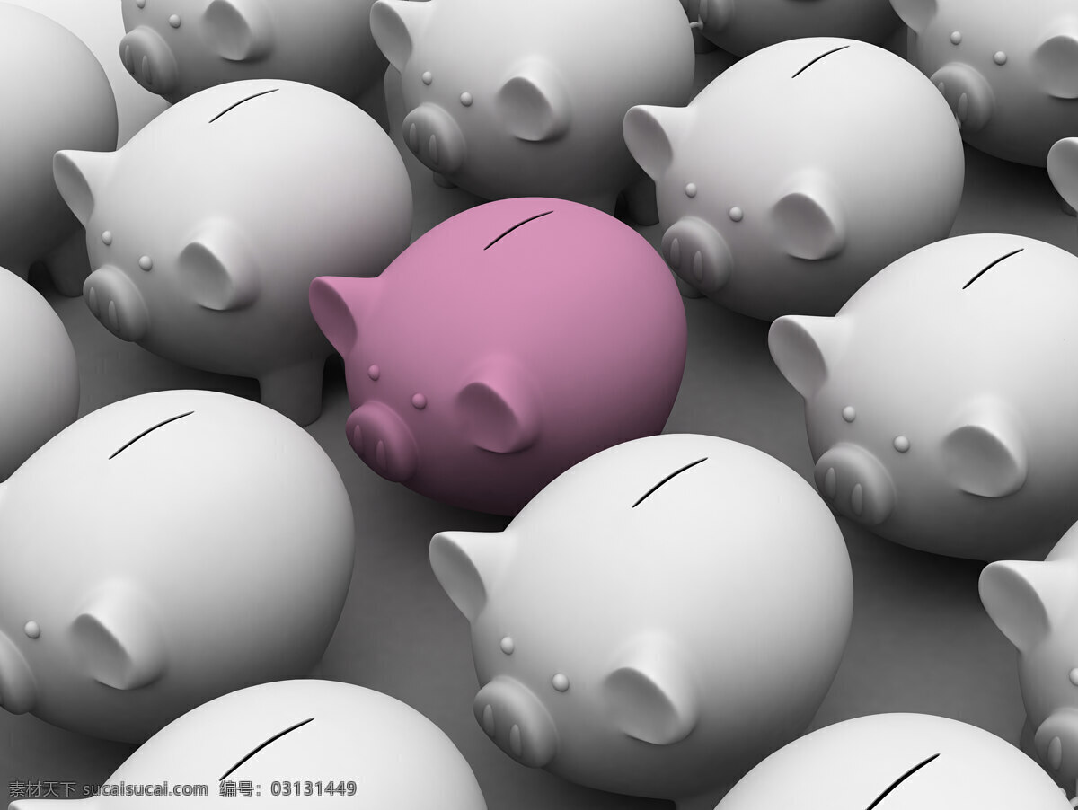 拯救 小 猪 银行业务 公司 商务金融
