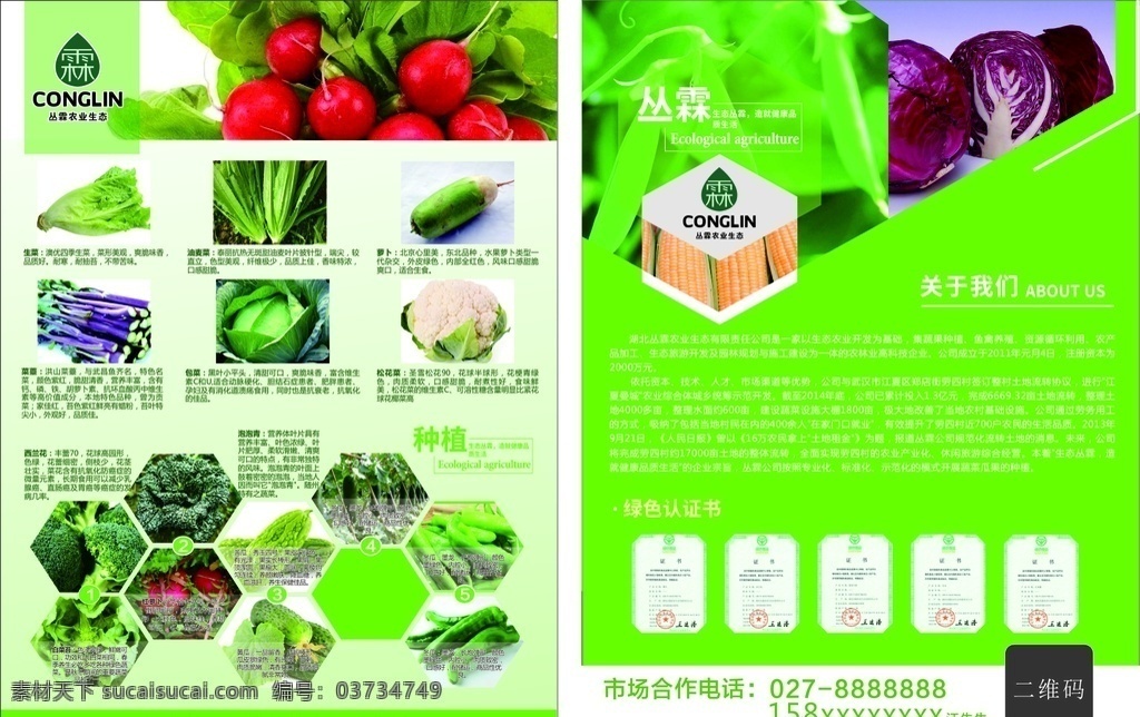 农产品单页 宣传单 农产品 产品介绍 农产品介绍 室内广告设计