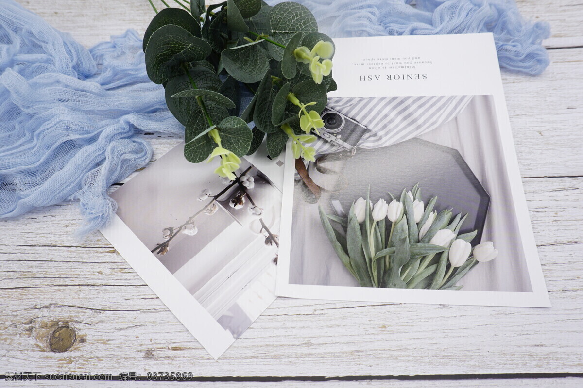 木纹 桌面 明信片 实物 拍摄 叶子 背景 唯美 花朵 卡片 日系 白色 生活百科 生活素材